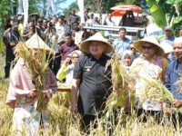 Pemkot Makassar Optimalkan Lahan Sempit untuk Pertanian