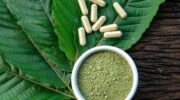AS Pengimpor Terbesar Kratom RI, Komoditas yang Disebut Punya Manfaat Vitalitas