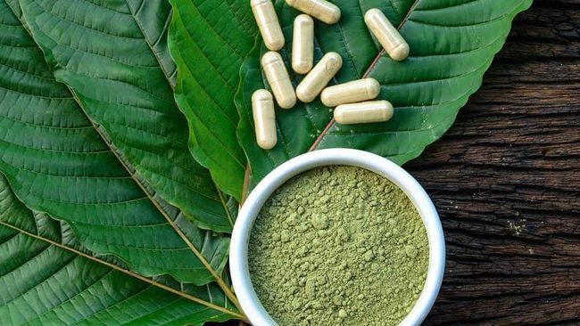 AS Pengimpor Terbesar Kratom RI, Komoditas yang Disebut Punya Manfaat Vitalitas